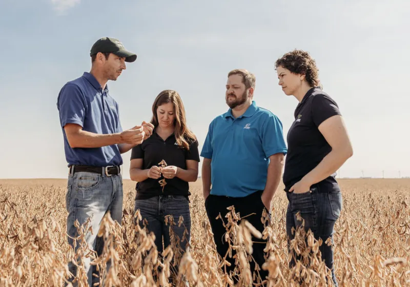 Farmer and consultant standing in a field. 