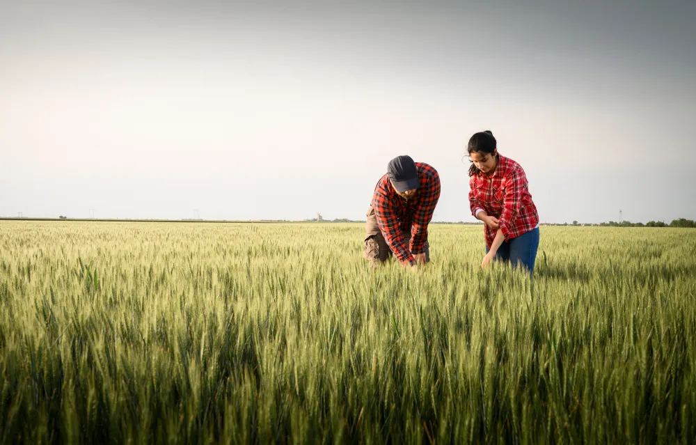 Crops