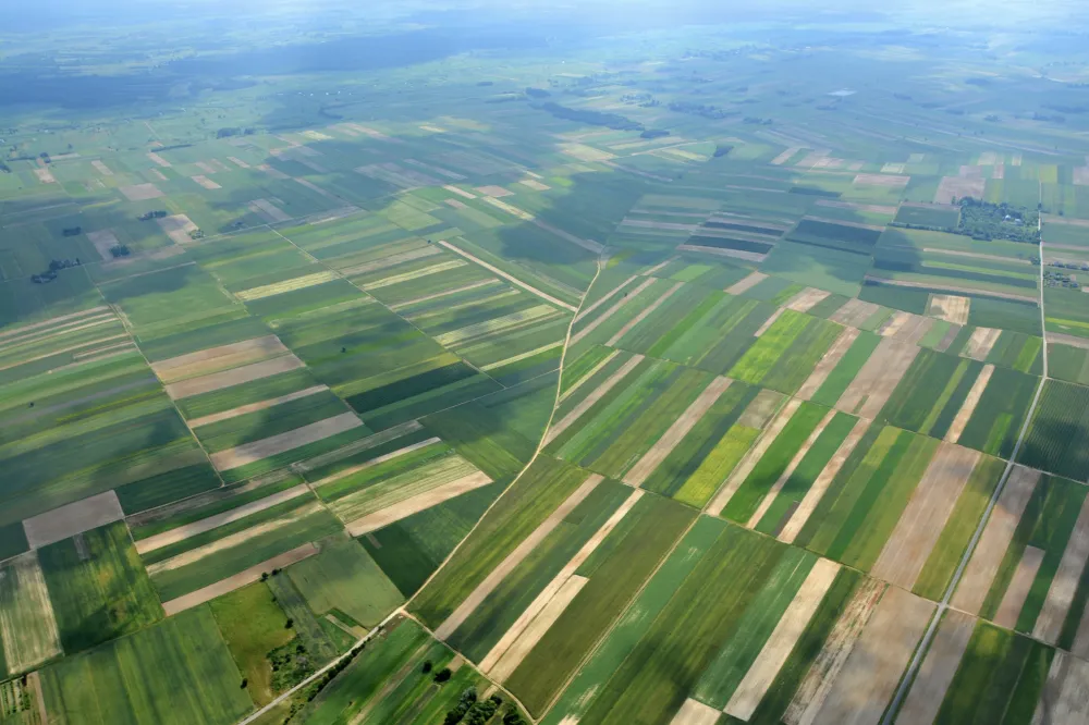 An aerial view of farmland 