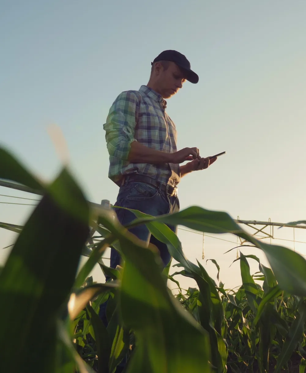 Farmer standing in a field of crops. 