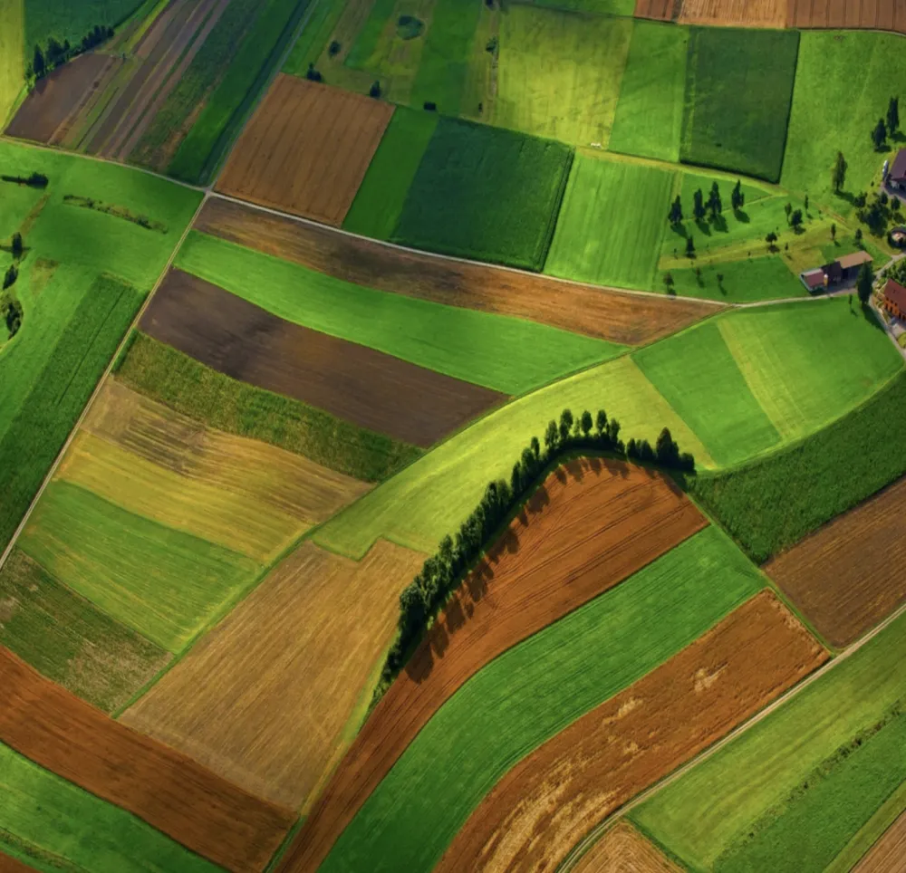 A real view of farmland. 