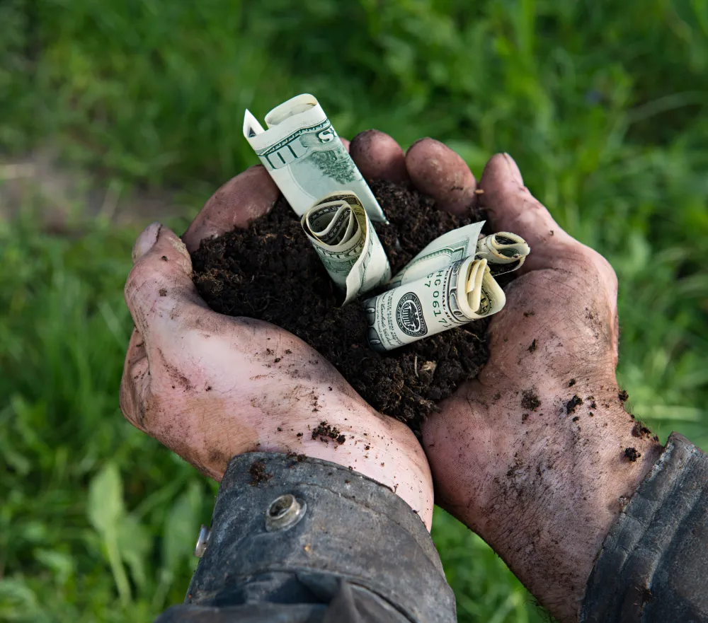Hands holding soil with money growing out of the soil. 