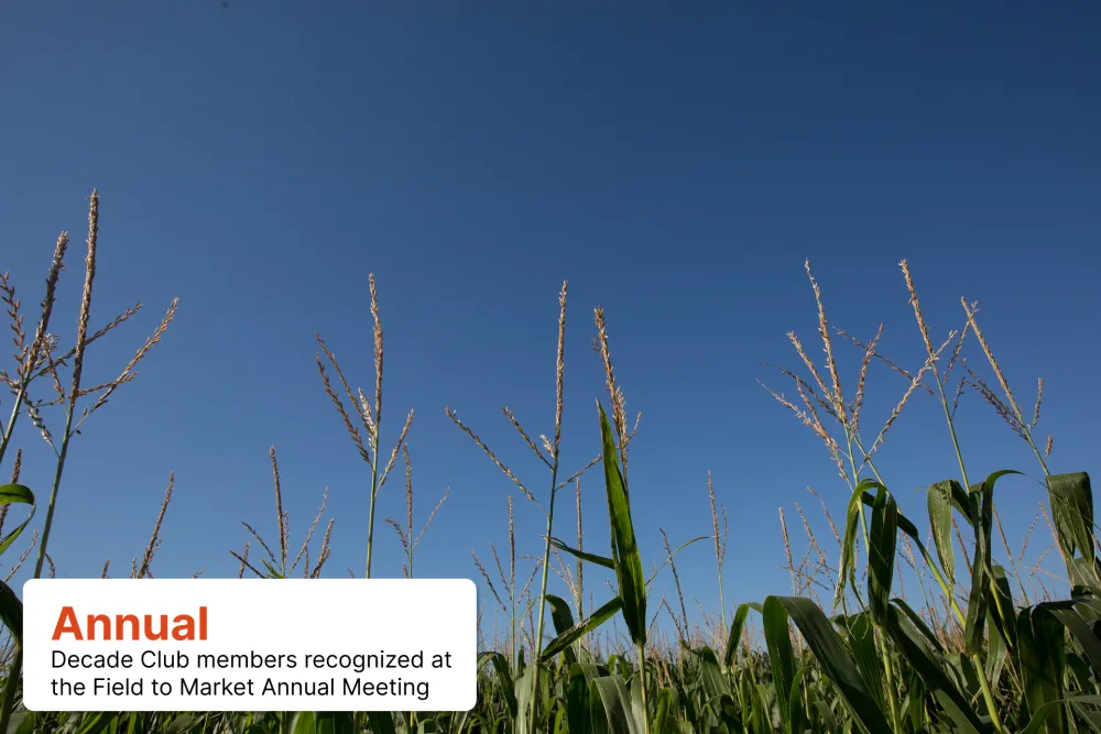 Corn field