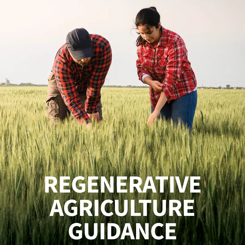 Regen Ag Guidance