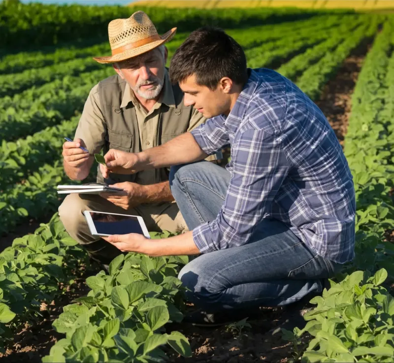 Farmers reviewing data on their tablets. 