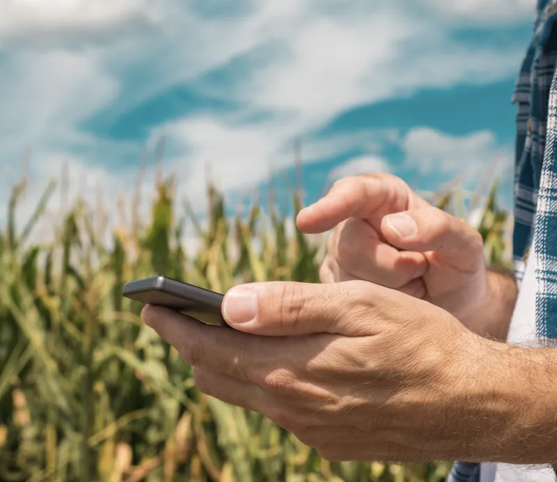 Farmer using modern tools on his phone. 