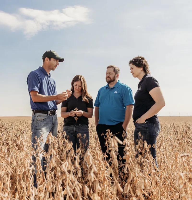Farmer and consultant standing in a field. 
