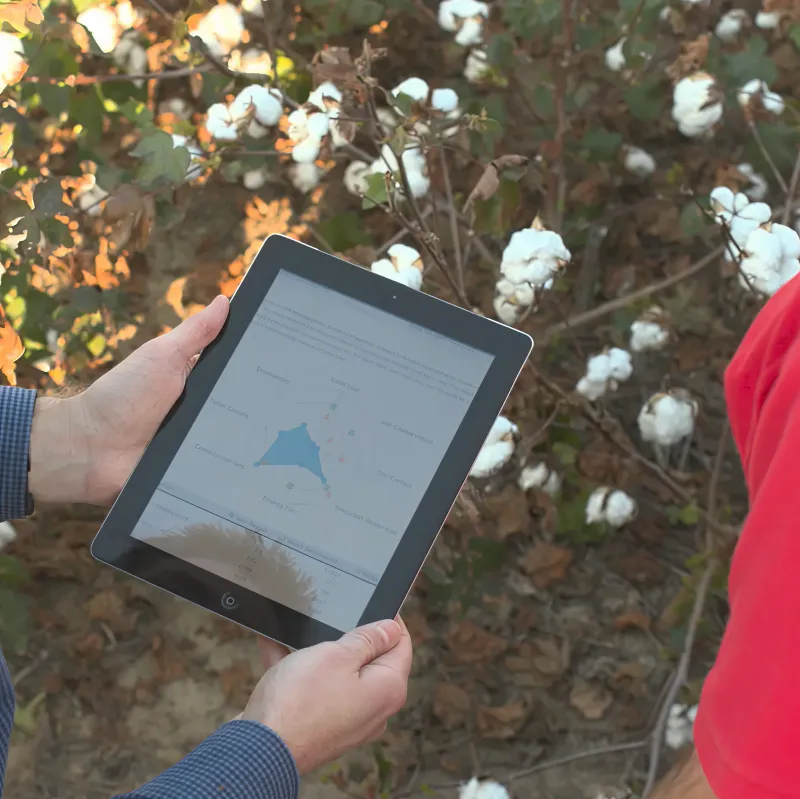 Farmers viewing analytical benchmark data 