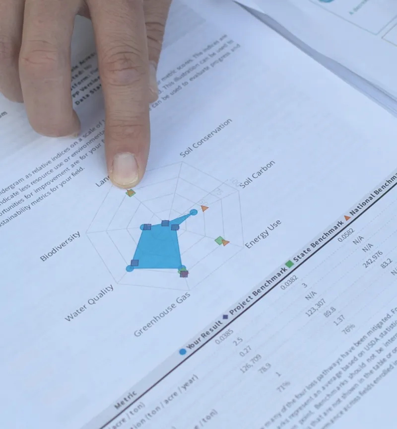 Analytical data of environmental indicators. 