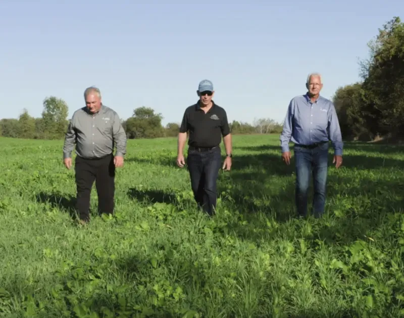 Three farmers walking in a field. 