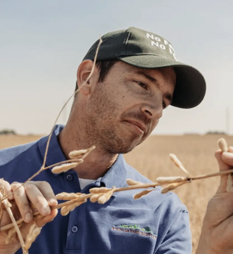 Farmer examining crops 
