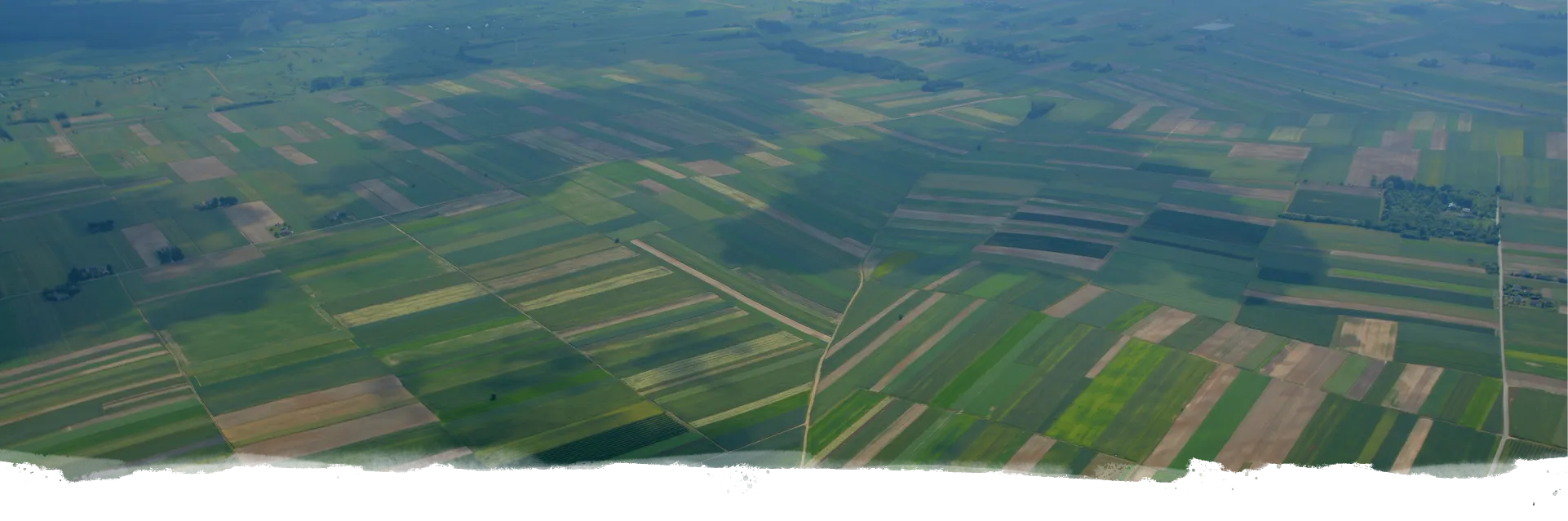 Fields