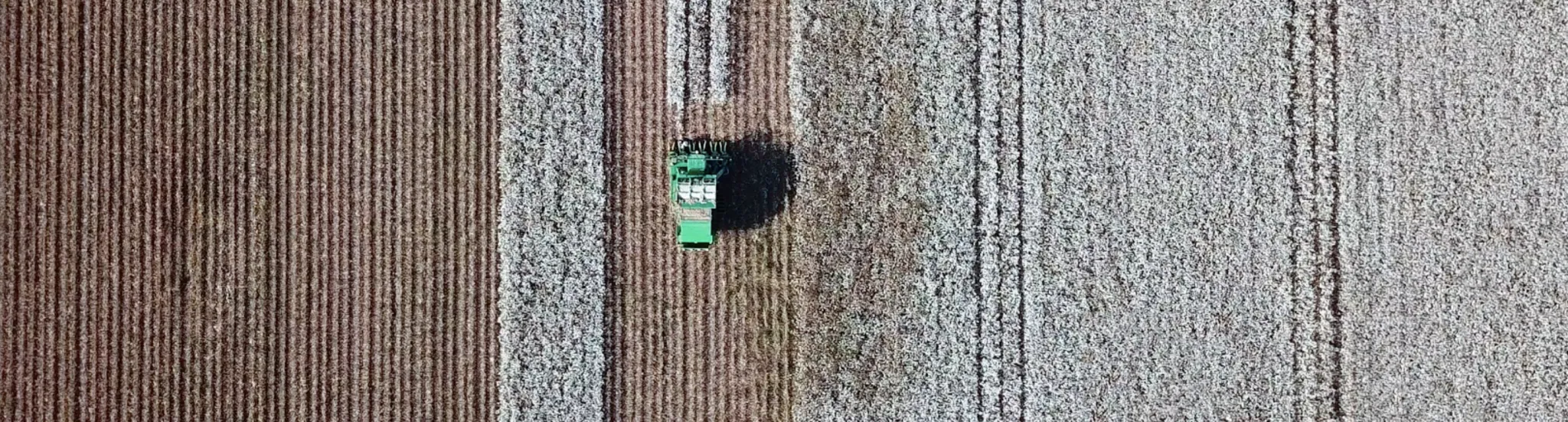 Combine plowing field