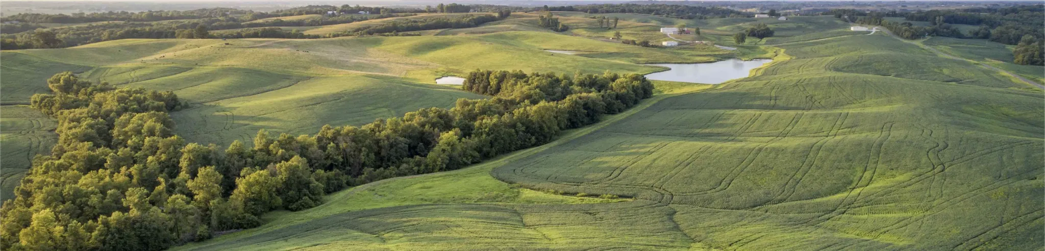 Aerial view of pasture land. 