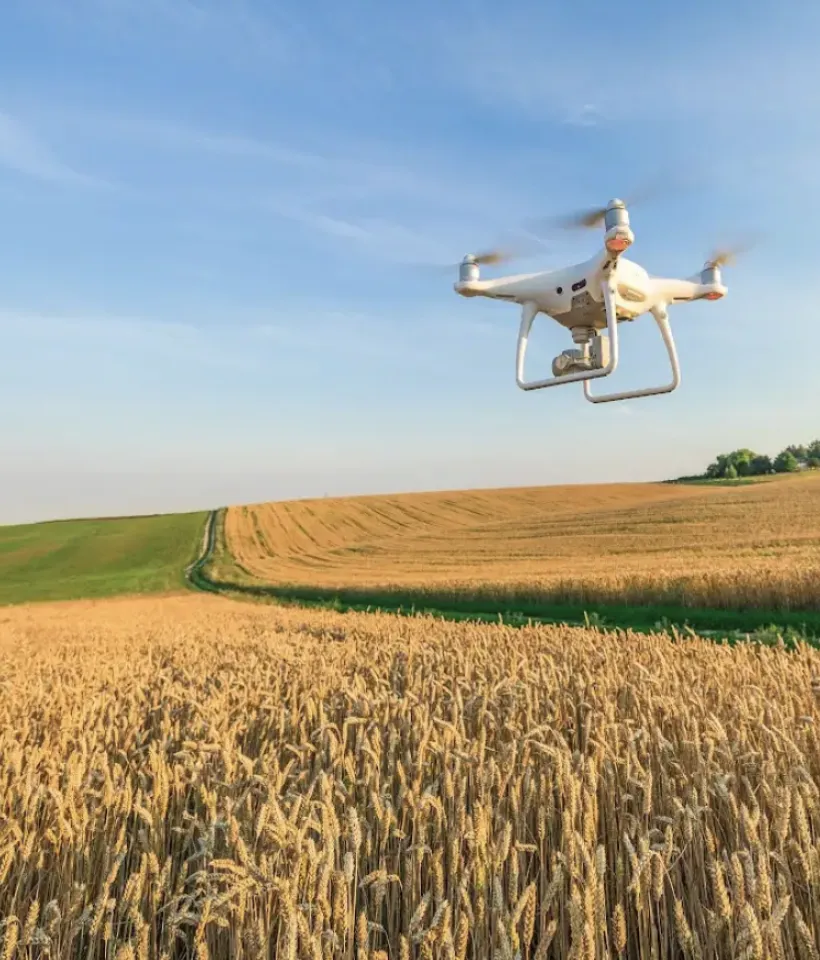 Drones surveying a field of crops. 