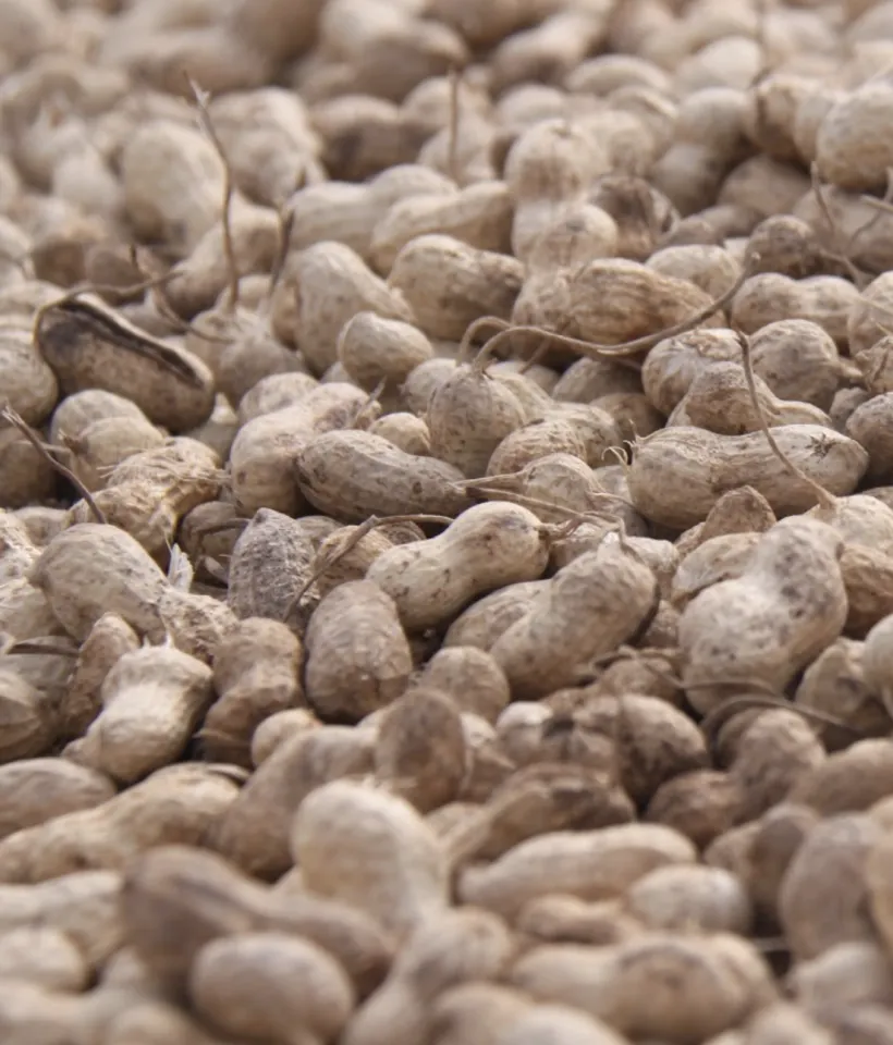 Peanuts 